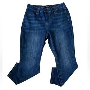 Judy Blue High Rise Skinny Jeans